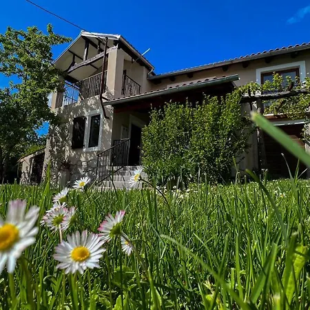Casa Ana New In 2025 High Speed Starlink Wifi Villa Buzet Exterior photo