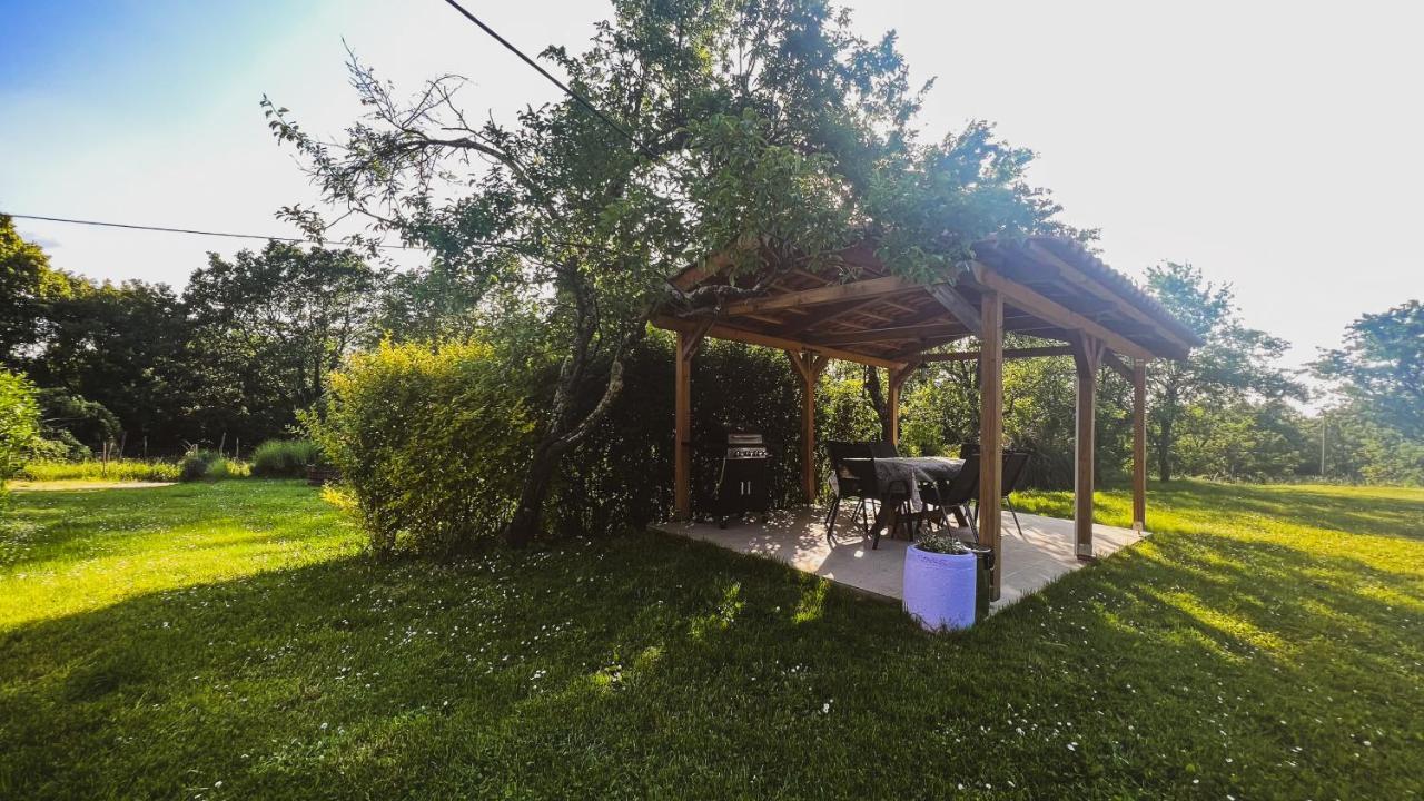 Casa Ana New In 2025 High Speed Starlink Wifi Buzet