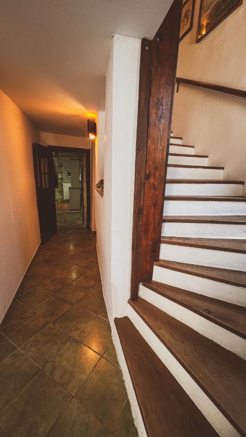 Casa Ana New In 2025 High Speed Starlink Wifi Vilă